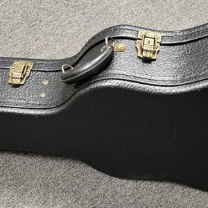 Eastman Grand Auditorium Acoustic Guitar Deluxe Hardshell Case, Alligator Pattern